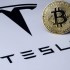 Tesla за год потеряла $204 млн из-за падения стоимости Bitcoin