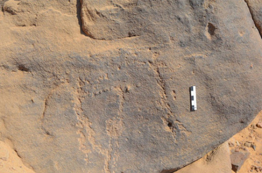 Археологи нашли в Египте наскальные рисунки возрастом 6 тысяч лет