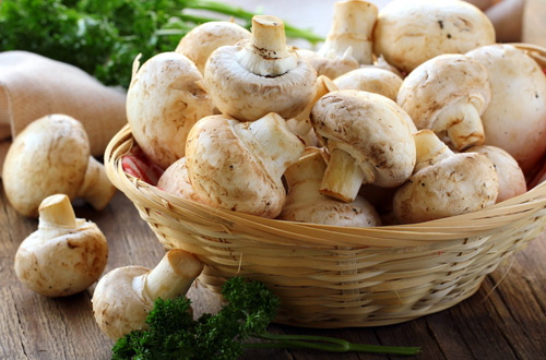 В Украине наметилась тенденция к росту цен на грибы после недельного обвала