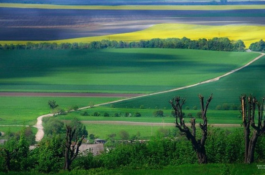 МВФ требует от Украины ввести свободный рынок земли сельхозназначения