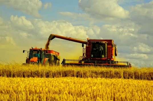 Украинским фермерам увеличил сумму финансовой поддержки в два раза