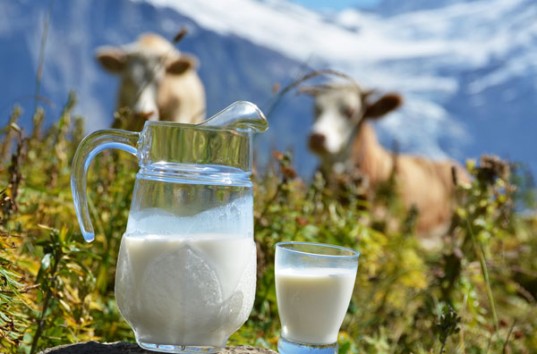 В Украине с начала года снизилось производство молока и яиц