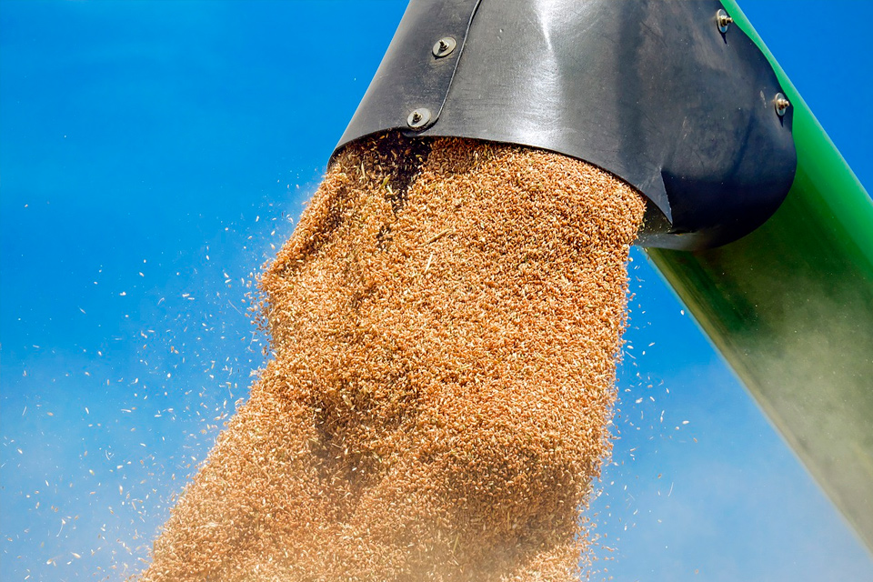 Украина стала вторым в мире крупнейшим экспортером зерна, на первом — США