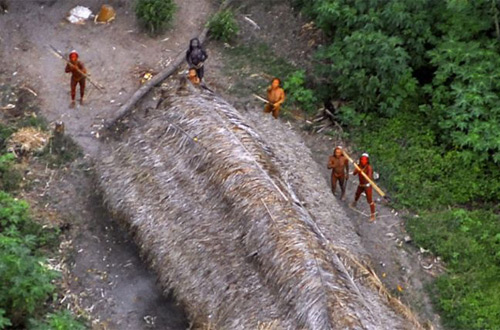 В Амазонских лесах обнаружено неизвестное дикое племя (видео)
