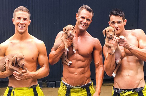 Австралийские пожарные снялись в «горячей» фотосессии с собаками (фото)