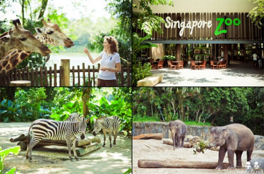 Пятерка самых интересных, любопытных зоопарков планеты
