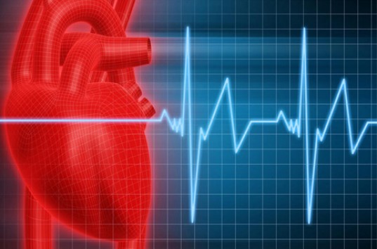 Шведские ученые установили, откуда берется ишемическая болезнь сердца