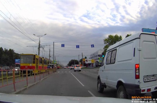 Ролик «Барнаул. Дикий зверь на дороге!» набирает популярность на Youtube (ВИДЕО)