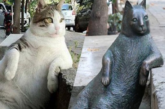 Памятник знаменитому задумчивому коту установили в Турции