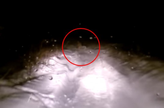 В России видеорегистратор зафиксировал снежного человека (ВИДЕО)