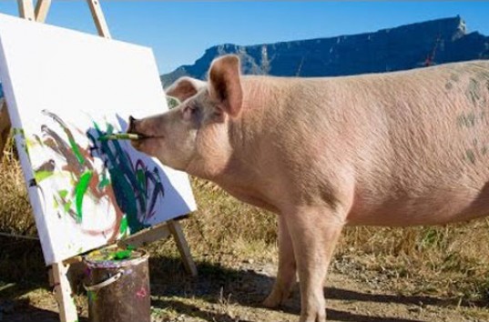 Африканская свинья научилась рисовать пейзажи (ВИДЕО)