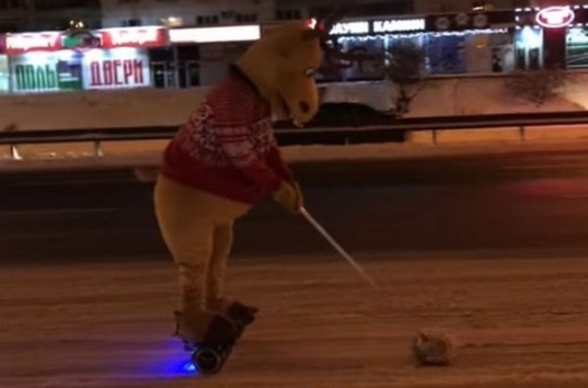 Соцсети рассмешило видео с “оленем” на киевском проспекте (ВИДЕО)