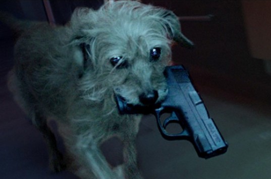 Блогеры из США сняли пародию на «Джона Уика» с псом-киллером в главной роли (ВИДЕО)