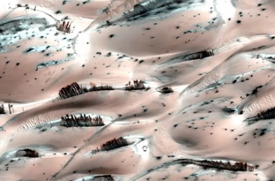 Ошеломительное видео ползающих улиток на Марсе (ВИДЕО)
