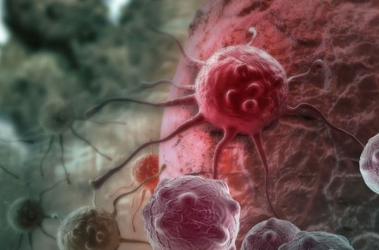 Медицина, наконец, победила рак? Белок CD40 уничтожает только злокачественные клетки