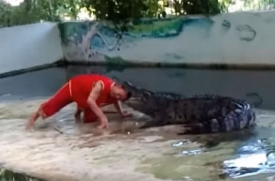 Крокодил чуть не разорвал дрессировщика на глазах туристов (ВИДЕО)