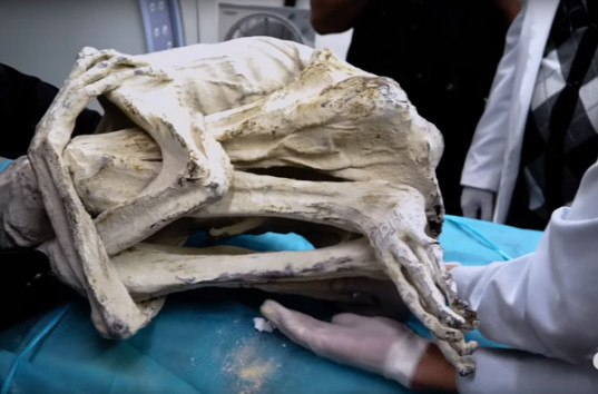 В Перу нашли мумию с 20-сантиметровыми пальцами на руках и ногах три (ВИДЕО)