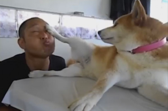 Китаец заставил своего пса отбиваться от «любви» лапами (ВИДЕО)