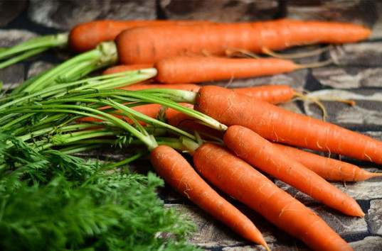 Хозяину на заметку: Выращиваем морковь правильно и получаем очень хороший урожай