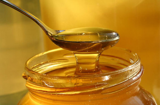 Американские медики утверждают, что мед – самый полезный для здоровья