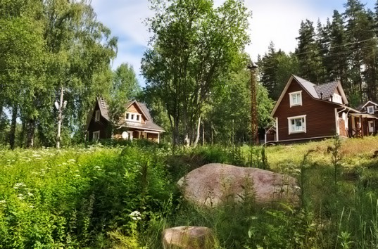 Базы отдыха в Ленинградской области набирают популярность среди любителей природы