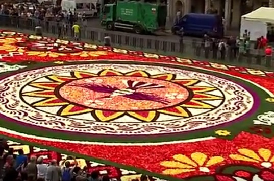 Не изменили традициям: Центр Брюсселя украсил ковёр из 500 тысяч цветов (ВИДЕО)
