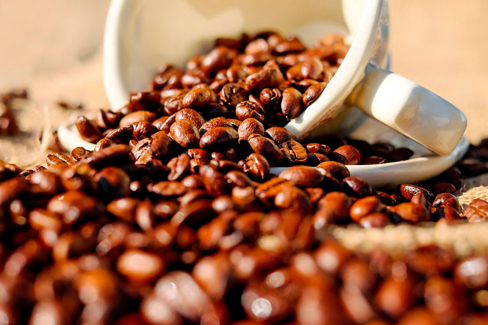 Кофемашина для дома: Настоящий кофе может быть исключительно в зёрнах