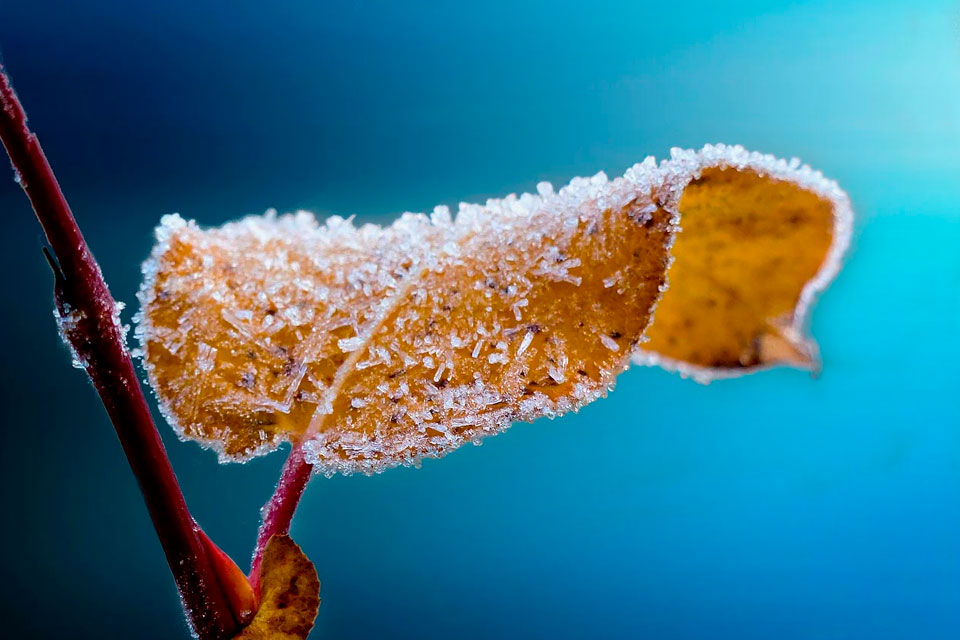В Украине ударят морозы и выпадет первый снег: синоптик дал детальный прогноз на ноябрь