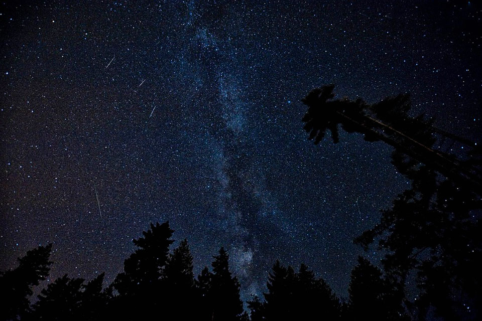 Сегодня ночью можно увидеть самый зрелищный звездопад года Персеиды