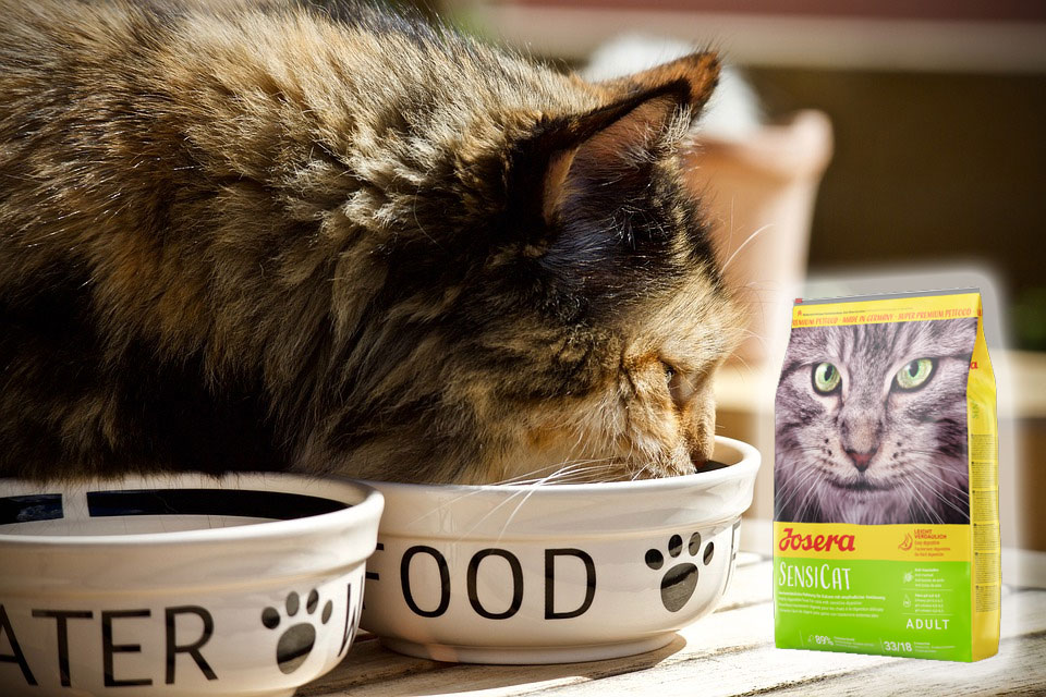 Сухой корм Josera для котов — сбалансированный состав натуральных ингредиентов