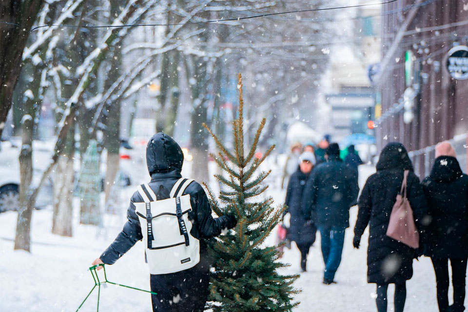 Будут ли в Украине сильные морозы на Новый год: прогноз погоды до 1 января