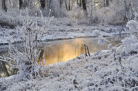 В Украине ударили первые морозы: в Карпатах зафиксировали температуру до -6°С