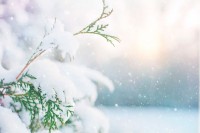 Когда в Украину придет настоящая зима: названа дата — День святого Николая