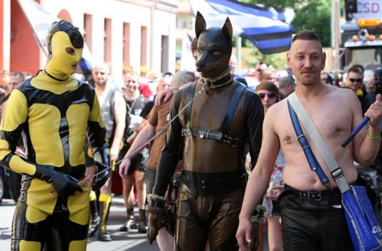 В Верховной Раде Украины выступили в поддержку проведения в Киеве гей-парада ЛГБТ