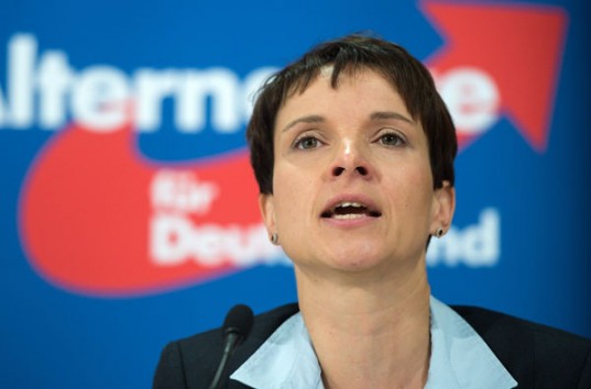 Лидер консервативной евроскептической партии Германии выступает за свободное ношение оружия