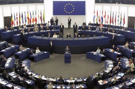Депутаты Европарламента не довольны давлением на оппозицию в Украине (петиция)