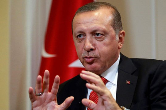 Альтернатива Евросоюзу: Турция рассматривает вариант вступления в ШОС