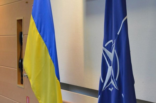 Вступление в НАТО не может быть приоритетом украинской политики – эксперт