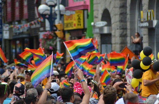 Это был не гей-парад, а спецоперация правительства «Отчёт в ЕС», — Елена Лукаш