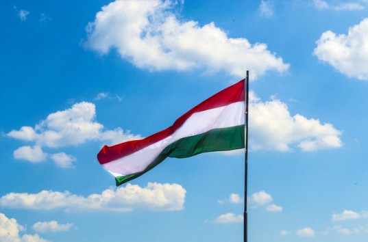 Венгрия грозится заблокировать участие Порошенко в летнем саммите НАТО