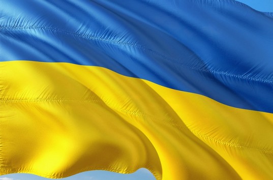 В Верховной Раде Украины объяснили суть спора между МВФ и Петром Порошенко