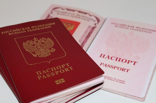 За полгода гражданство РФ получили более 39 500 граждан Украины, — МВД РФ