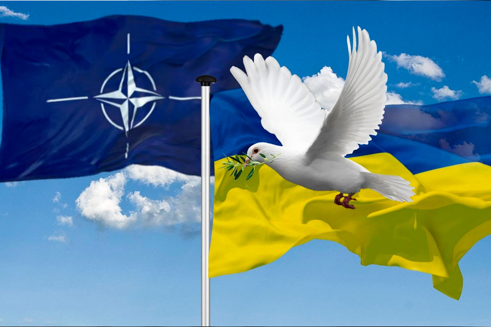 Страны-лидеры НАТО приняли отмену «Плана действий по членству Украины»
