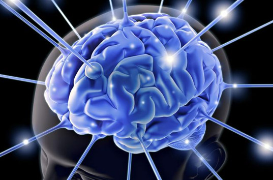 Биологи разрабатывают мозговой имплантат для сверхспособностей