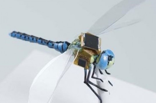 Специалисты из Массачусетса создали кибернетическую стрекозу