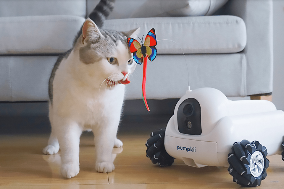 Pumpkii робот-друг для домашних питомцев: Компаньон и друг домашнего любимца