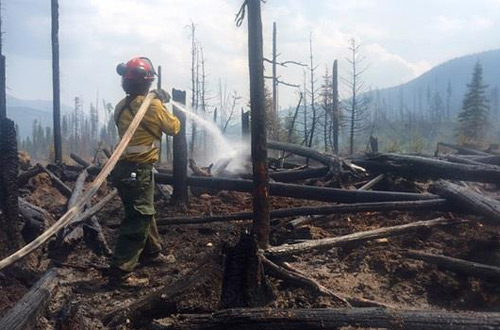В Канаде эвакуируют людей из-за лесных пожаров, площадь которых составляет 1,8 тыс. га