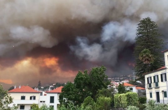 «Райский остров» в огне: Пожар на Мадейре уже унес жизнь одного человека идет эвакуация (ВИДЕО)