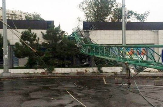 В Одессе бушует непогода: ветер валит деревья и подъемные краны (ФОТО)