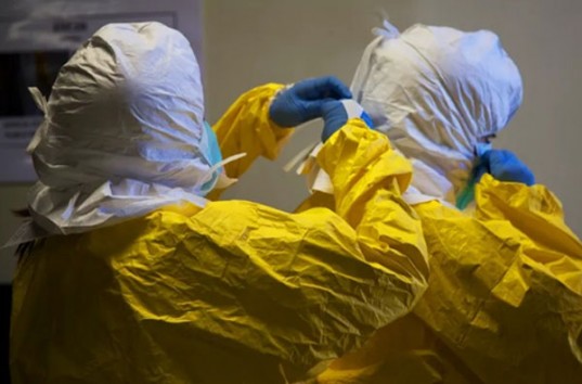 Вирус Эбола мутировал и стал более активным и способным заражать больше людей